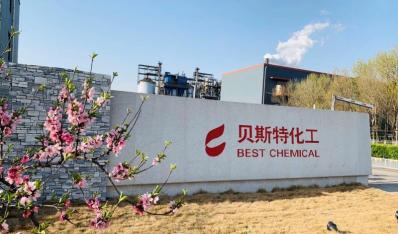 春天裏(lǐ)的貝斯特